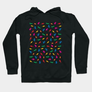 Colorful Bird Pattern for Bird Nerds Hoodie